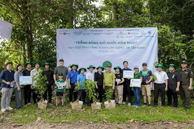 Trồng rừng giữ nước mùa mưa để hưởng ứng Ngày Môi trường Thế giới