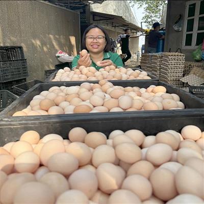 Từ phòng nuôi đến bàn ăn xanh: Gian hàng Thiên Phúc tại Triển lãm 80 năm thành tựu đất nước
