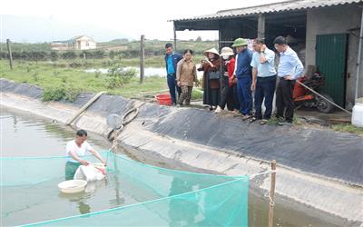 Ứng dụng khoa học kỹ thuật trong nuôi trồng thủy sản với mô hình xen ghép tôm sú và cá rô phi đơn tính tại Hà Tĩnh