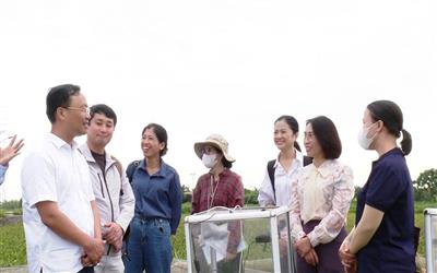 Ứng Hòa (TP. Hà Nội) bắt nhịp xu thế nông nghiệp thông minh, giảm phát thải khí nhà kính