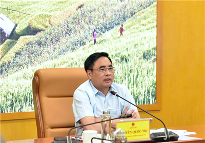 Ưu tiên ổn định ngành chế biến gỗ, hoàn thiện pháp lý chính quyền cơ sở