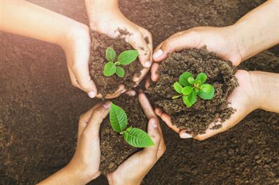 Vai trò của báo chí trong truyền thông về môi trường