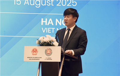 Việt Nam góp phần củng cố cơ chế hợp tác ASEAN về phòng chống thiên tai
