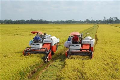 Việt Nam lần đầu xuất khẩu lô hàng “Gạo Việt xanh - phát thải thấp”