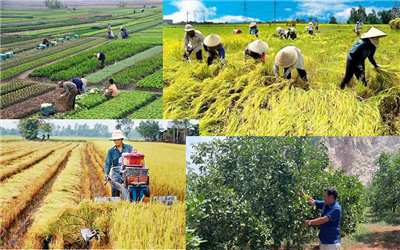 Xã Vân Đình sau hợp nhất: Hội Nông dân làm nòng cốt trong xây dựng nông thôn mới, phát triển kinh tế nông nghiệp