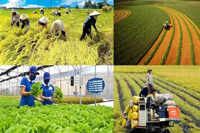 Xây dựng, phát triển nông nghiệp, nông dân, nông thôn Việt Nam trong giai đoạn mới
