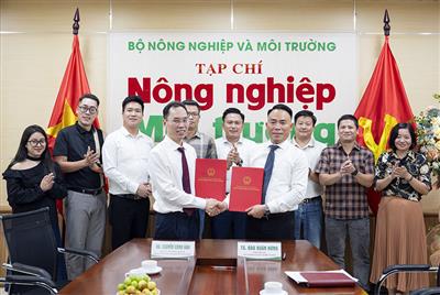 Lan tỏa giá trị văn hóa thương hiệu trà Shan Tuyết Suối Giàng