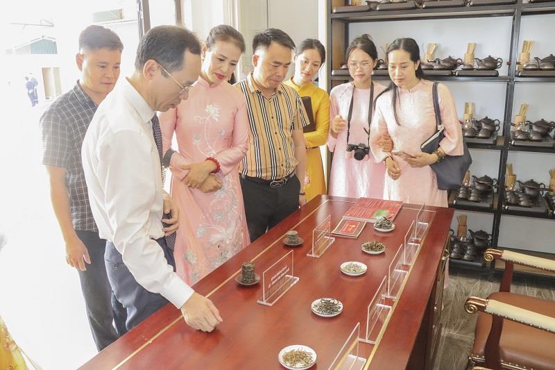 Tạp chí Nông nghiệp và Môi trường cùng IWEDI khảo sát mô hình trà sạch công nghệ cao tại Suối Giàng