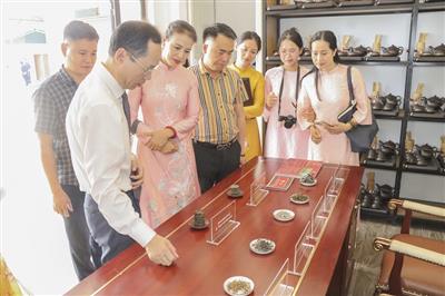 Tạp chí Nông nghiệp và Môi trường cùng IWEDI khảo sát mô hình trà sạch công nghệ cao tại Suối Giàng