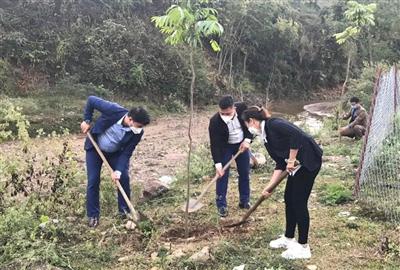 Tạp chí Tài nguyên và Môi trường trồng cây xanh chương trình 